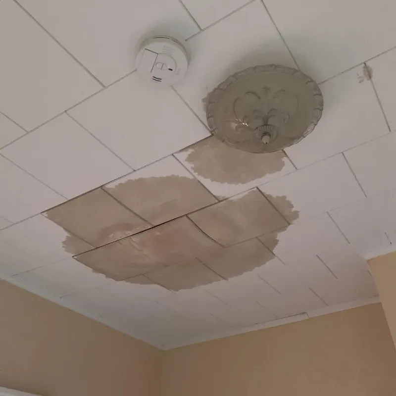 Ceiling Water Damage Repair in Lackland Air Force Base, TX