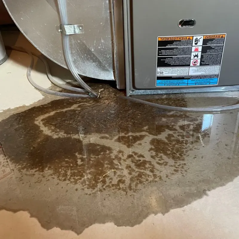 Pipe Burst and Leak Restoration in Lackland Air Force Base, TX